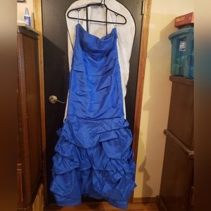 Large Zippered Royal Blue Mermaid dress